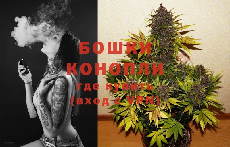 это наркотические препараты  Богородицк  Каннабис White Widow 